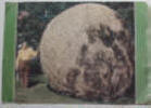 Biggest Ball of Twine - Darwin, Minnesota - Click for more photos