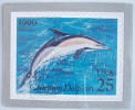 Common Dolphin Puzzle Postcard - Click for more photos