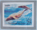 Northern Sea Lion Puzzle Postcard - Click for more photos