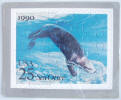 Sea Otter Puzzle Postcard - Click for more photos