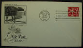 7 Cent Air Mail Stamp - 1960 - Click for more photos