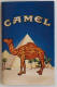 Pleasure to Burn - Camel Mailer - Click for more photos